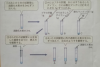 生物基礎のカタラーゼの働きの実験についての質問です １ この実験 Yahoo 知恵袋