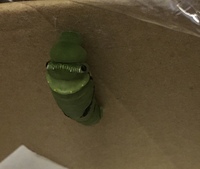 アゲハの前蛹の段階で 片方の糸が切れてしまいました お尻はくっついてい Yahoo 知恵袋