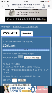 助けて下さいギガファイル便でダウンロードしようとしたのに10 Yahoo 知恵袋