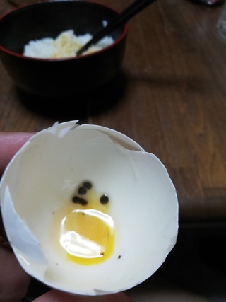 食べる 殻 卵 の