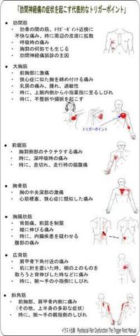 肋間神経痛で苦しんでる方いますか 私は 現在25歳です Yahoo 知恵袋