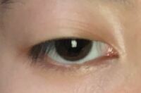 この目って三白眼なんでしょうか 私は普段から瞼を意識しないと Yahoo 知恵袋