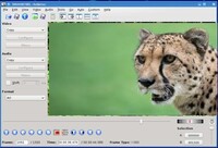 Avidemuxでmp4動画を編集して保存すると以下のようなダイ Yahoo 知恵袋