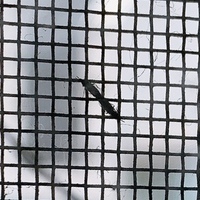 網戸の内側に交尾してる虫がいるんですが、なんという名前の虫かわかる方いますか？ 