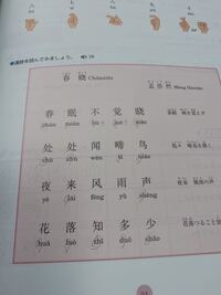この文章の発音記号のどれが母音のみ 子音のみ 母音 子音かを Yahoo 知恵袋