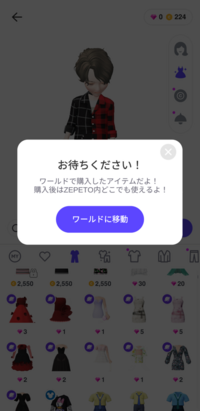 ゼペットについてワールドで購入したアイテムだよ と表示される Yahoo 知恵袋