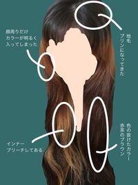 セルフカラーをしたいのでアドバイスをください 現在写真 Yahoo 知恵袋