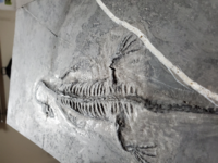 ことわざで 他人のことはとやかく言うくせに 自分のことになると黙り込んだり 顧 Yahoo 知恵袋