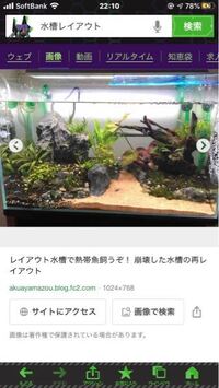 この水槽に使われている水草を教えて下さい また このレ Yahoo 知恵袋