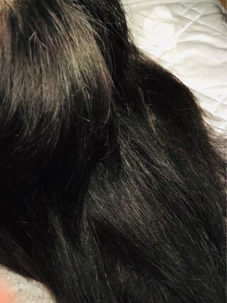 イライラする 分析する 縁石 パサパサ ヘアオイル Maoowwn Jp