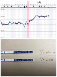 妊娠の可能性ありますか D29高温期13日目基礎体温37 08度排卵日 Yahoo 知恵袋