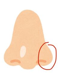 鼻の横の部分が痛いです 時々なるのですが 触ると痛い感 Yahoo 知恵袋