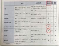 学校でオオカナダモを顕微鏡で観察しました 核と葉緑体は見えましたが Yahoo 知恵袋