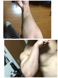 男の前腕の太さはどれくらいでしょうか こんばんは 私はウエイ Yahoo 知恵袋