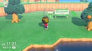 キット ハウジング 森 どうぶつ あつまれ の