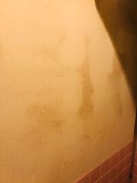カビのことで質問です トイレの土壁にカビの様なシミが目 Yahoo 知恵袋