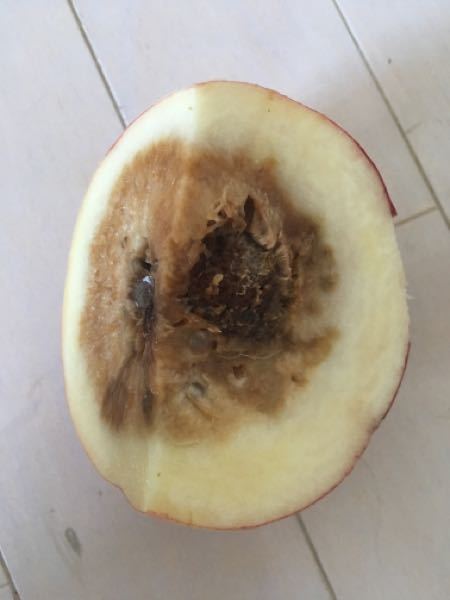 桃、これ腐ってますか？食べない方がいいですか？黒っぽいところ