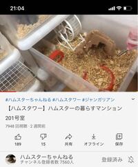BONFORM ファイテン 穴あきクッション 5815-13 ブラック