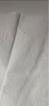 ほこりっぽいところや本の間にいるこの1 2ミリくらいの茶色っぽい小さい虫はなんで 教えて 住まいの先生 Yahoo 不動産