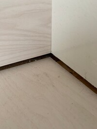 築年の中古住宅に住んでいます水回りを含めすべてリフォーム済みです2年住んだら 教えて 住まいの先生 Yahoo 不動産