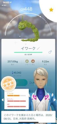 ポケモンgoコイツをハガネールにしてslで使いたいのですが どう思いま Yahoo 知恵袋