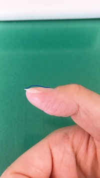 わかりにくいですが このやうに爪が中央から膨らみます爪先の白いところは Yahoo 知恵袋