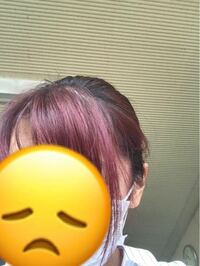 助けてください。この髪色では外に出られません！ 髪を限りなく黒に近い紫に染めたいと思いクチコミから割と暗くなると言われていたエンシェールズのショッキングパープルを茶髪に染めてみたところ、予想以上の紫になってしまいました。そしてムラも多少あり。とても恥ずかしいです。

来週大学へ行かなければならないのですが。この上から暗い焦げ茶色くらいのカラートリートメントをしたら大分マシにはなりますか？

...