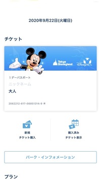 ディズニーの日付指定なし1デーパスのオープンチケットを年3月3 Yahoo 知恵袋