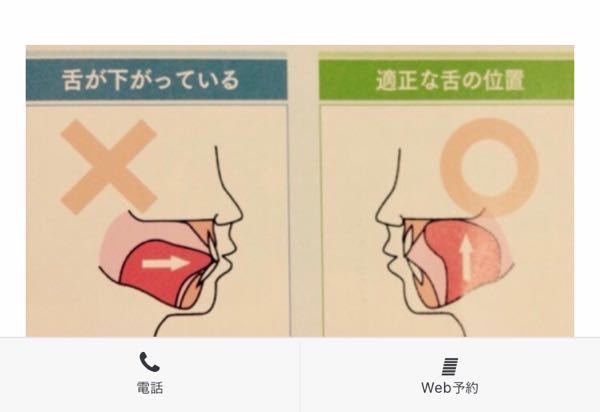 舌の位置について 普通の人は口を閉じて力を入れてない状 Yahoo 知恵袋