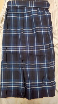 26歳女子です 彼に制服風のスカートをはいてほしい と言われ Yahoo 知恵袋