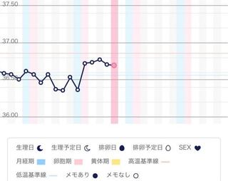 吐き気 高温期4日目