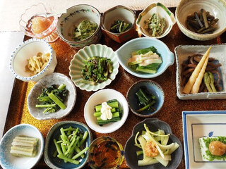 大好きな山菜料理を教えて下さい こごみの白和えです Yahoo 知恵袋