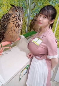 な てる 無能 生き ナナ 中島