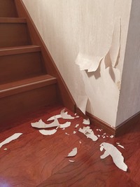 火災保険で壁紙を修繕火災保険で 例えば飼っている犬が壁に傷をつけてしまった Yahoo 知恵袋