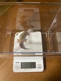 7月生まれの子で 生まれた日にちは不明です 推定生 Yahoo 知恵袋