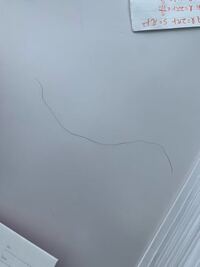 男です 髪の毛がうねりますなんかうねてるというよりヨレてます 写真はひ Yahoo 知恵袋