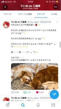 さとみくんの家の猫ちゃんって3匹なんですか ひなちゃん みみち Yahoo 知恵袋