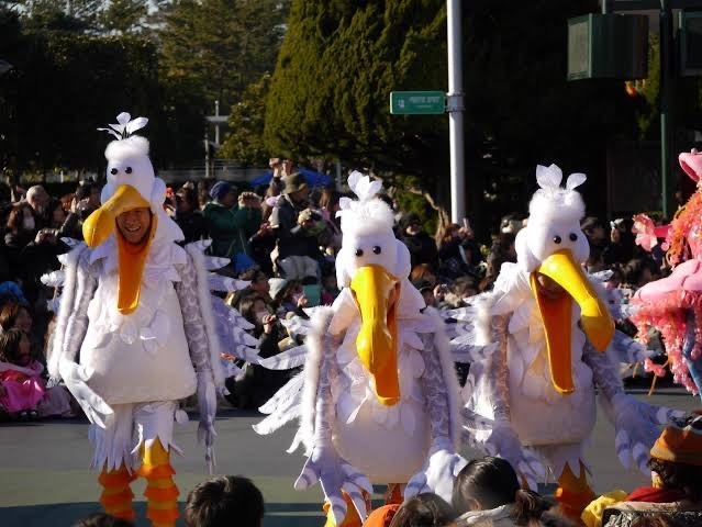 ディズニーの鳥のキャラクターについてです この画像の鳥の名前 Yahoo 知恵袋