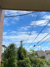 もも裏の張っているのをとる方法お願いします サッカーで凄く疲れています Yahoo 知恵袋