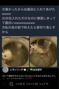 先日 Lineの投稿で 犬を洗濯機で洗った 的なものを見まし Yahoo 知恵袋