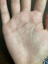 この手相を占ってほしいです 手相に鎖があると不運だか何 Yahoo 知恵袋