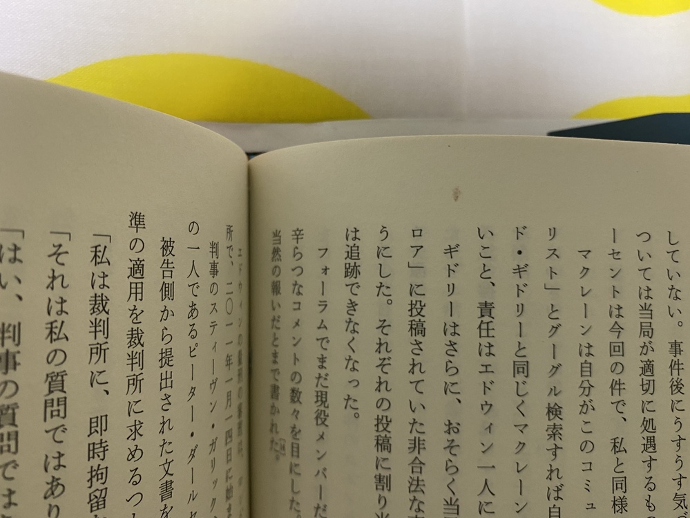 新品で買った本に汚れ（？）がありました画像だと分かりにくいのですが 確認用書籍汚れ
