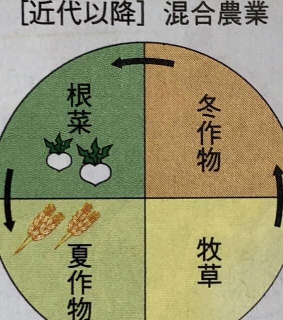 混合農業は 穀物 根菜類 飼料作物 家畜などを組み合わせる農 Yahoo 知恵袋