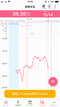 高温期11日目 妊娠した時