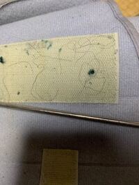 この写真の髪の毛 どうやったら取れますか マジックテー Yahoo 知恵袋