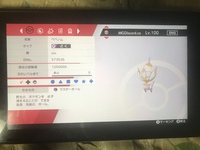 ポケモン剣盾で 皆さんマスターボール何に使いました ザシアン厳選中なんですけど Yahoo 知恵袋