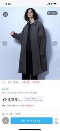 コートは高いのを買いますか 毎年毎年安いのを買って洋服タンスが Yahoo 知恵袋