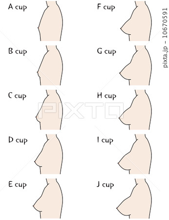 自分の胸を横から見て写真のやつの比較するとC.Dぐらいあるの 
