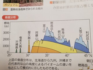 生物基礎について植生の日本のバイオームについて勉強しているの Yahoo 知恵袋