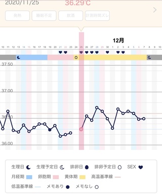 微熱 基礎体温